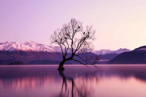 加拿大魁省移民，如何做學歷和資歷認證？