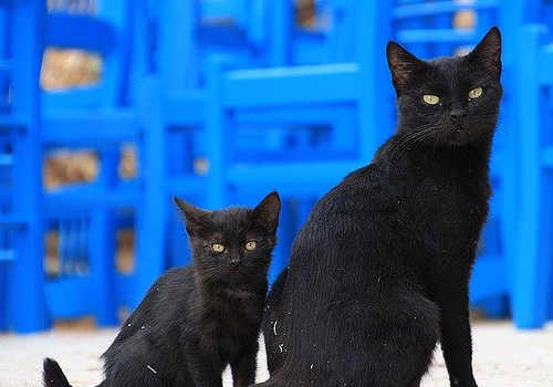 希臘購房移民靠不靠譜？