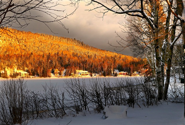 辦理加拿大薩省雇主擔保移民需要雅思成績嗎?