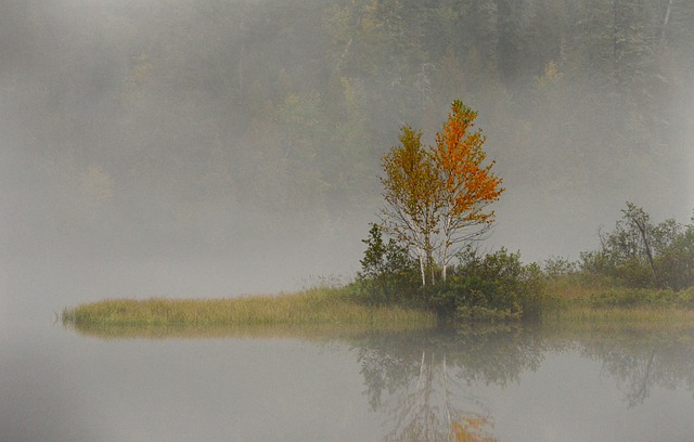 2021年加拿大移民監的最新規定是什么?