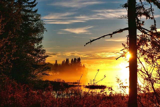 辦理加拿大移民最低需要多少錢？