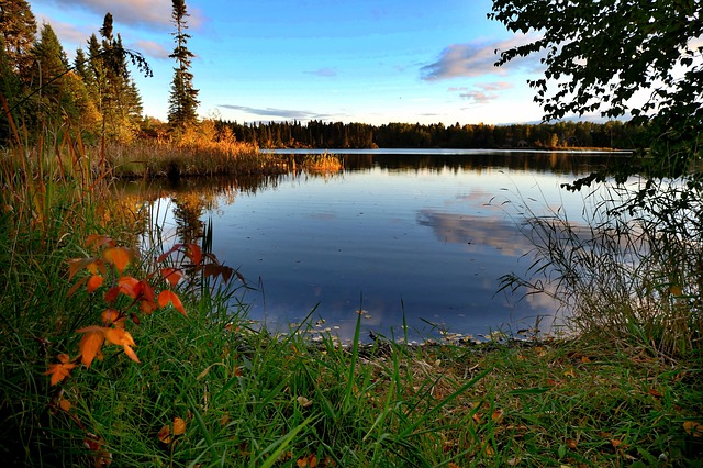 移民必讀：加拿大楓葉卡與永久居留權的區別在哪里？