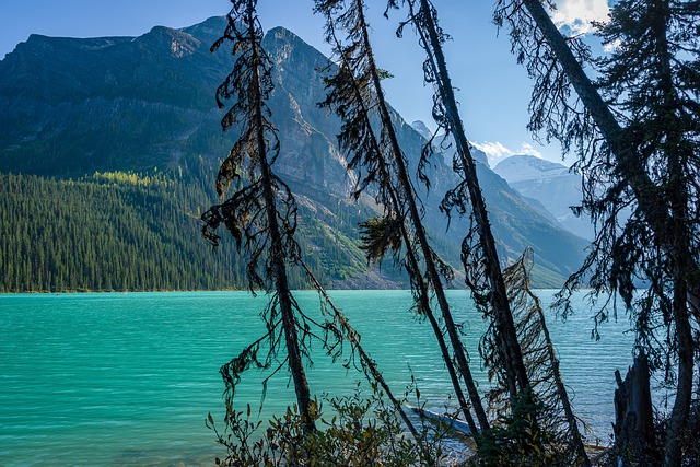 2021年最新加拿大薩省省提名移民政策詳解 2021年最新加拿大薩省省提名移民政策詳解