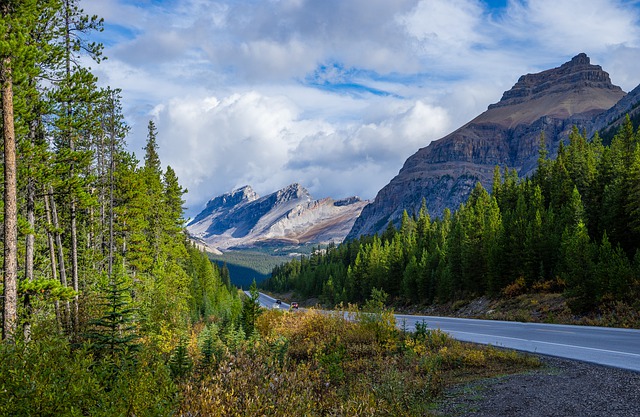 移民加拿大是通過留學(xué)方式好還是直接走雇主擔(dān)保好? 移民加拿大是通過留學(xué)方式好還是直接走雇主擔(dān)保好?