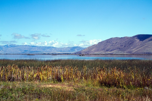 帶孩子移民美國，美國的教育優勢你清楚嗎?