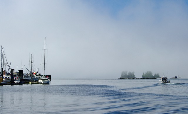 移民科普:可以帶多少錢入境加拿大?能帶哪些東西去? 移民科普:可以帶多少錢入境加拿大?能帶哪些東西去?