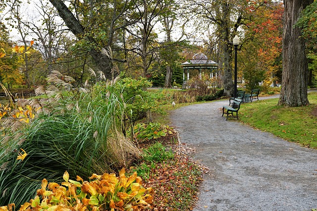 在正式移民美國之前，您知道啥叫輕移民嗎？