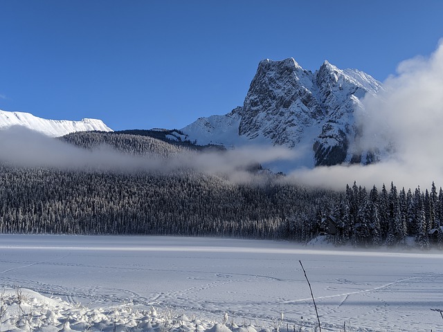 想要低成本移民加拿大，看這條就對了！