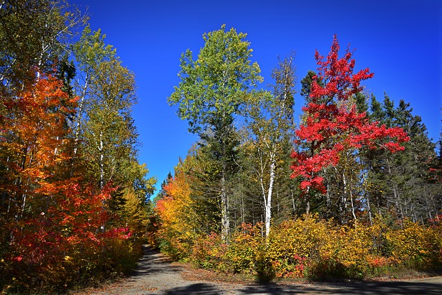 就算移民之后，你也不知道的20個加拿大趣聞……