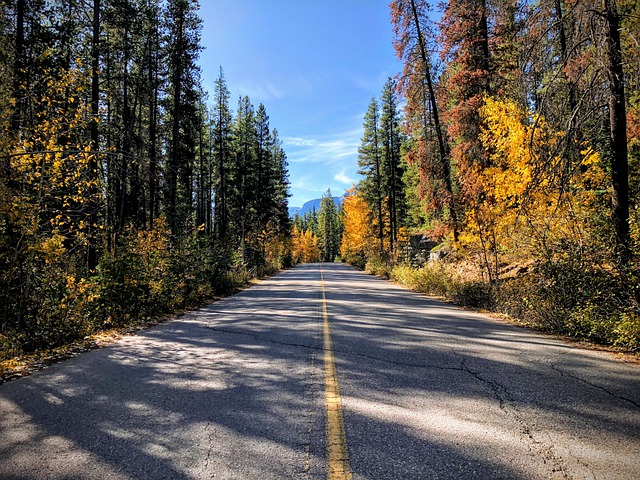 移民美國 VS 移民加拿大 移民美國 VS 移民加拿大