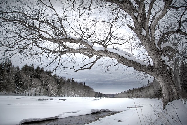 2021年移民加拿大,需要準備多少安家費? 2021年移民加拿大,需要準備多少安家費?