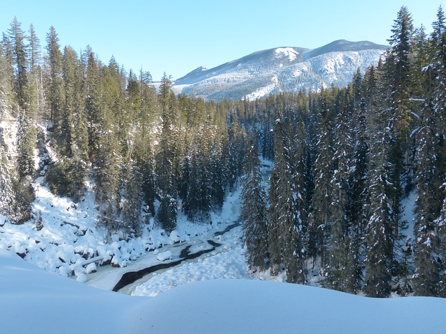 畢業移民拿身份,該選擇去加拿大留學好還是澳洲留學好? 畢業移民拿身份,該選擇去加拿大留學好還是澳洲留學好?
