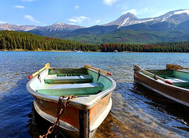 加拿大移民百科:移民拿楓葉卡需準備的材料清單匯總 加拿大移民百科:移民拿楓葉卡需準備的材料清單匯總