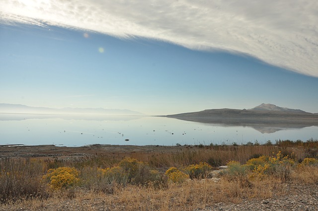 2021年移民美國的途徑都有哪些方式？