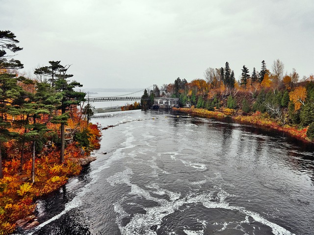 加拿大究竟有多少華人?哪個(gè)城市華人移民最多? 加拿大究竟有多少華人?哪個(gè)城市華人移民最多?
