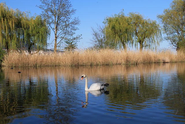 加拿大新移民手冊：找工作需要避開的四大誤區(qū)（下篇）