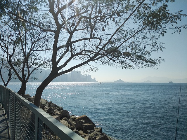 詳解香港專才計劃適用于哪些專業人士申請？