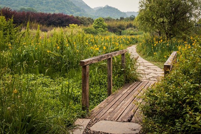 你對數(shù)字人民幣的了解有多少？
