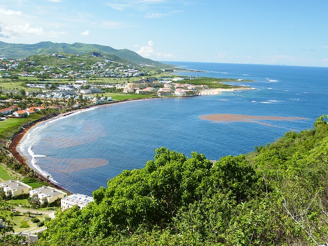 圣基茨護照費用高嗎?移民需要花多少錢? 圣基茨護照費用高嗎?移民需要花多少錢?